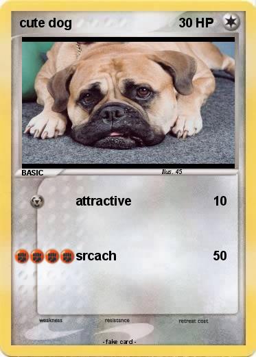Pokemon cute dog