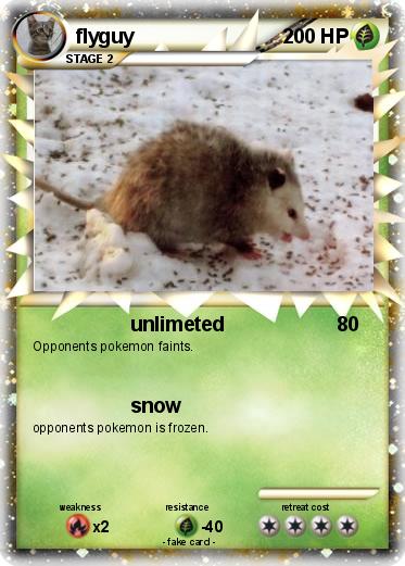 Pokemon flyguy