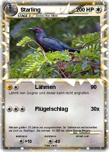Pokemon Starling