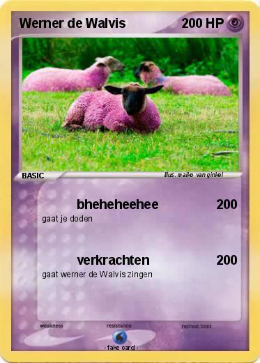 Pokemon Werner de Walvis