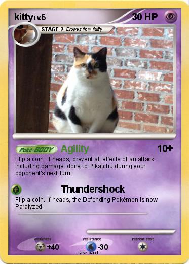 Pokemon kitty