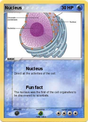 Pokemon Nucleus