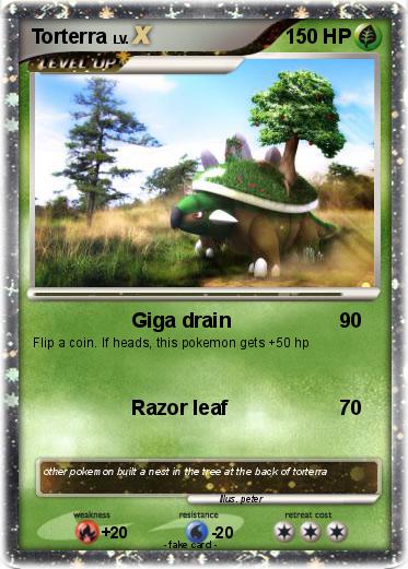 Pokemon Torterra