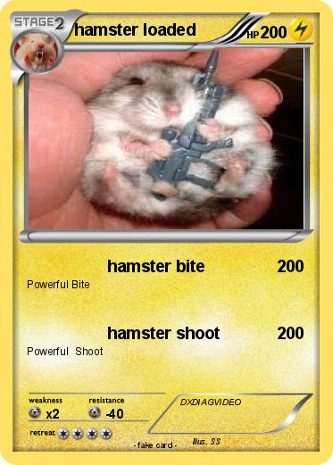 Pokemon hamster loaded