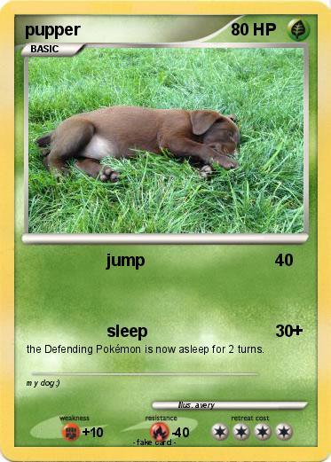 Pokemon pupper