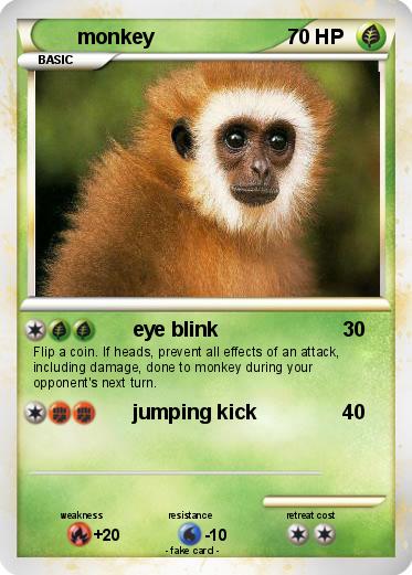 Pokemon monkey