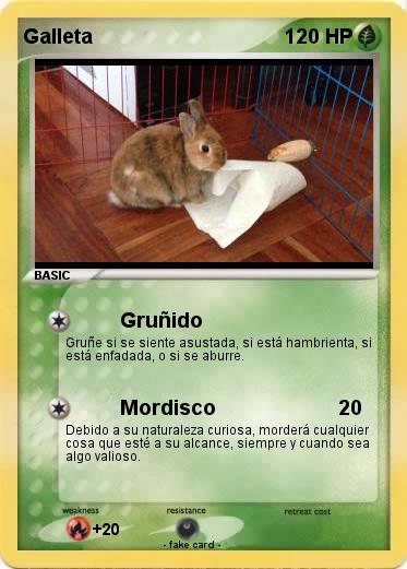 Pokemon Galleta