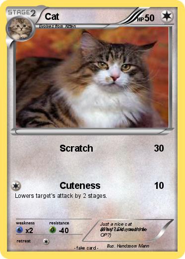 Pokemon Cat