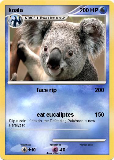 Pokemon koala