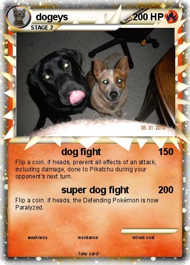 Pokemon dogeys