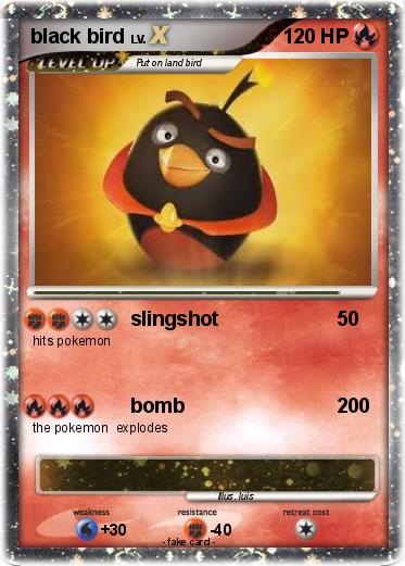 Pokemon black bird