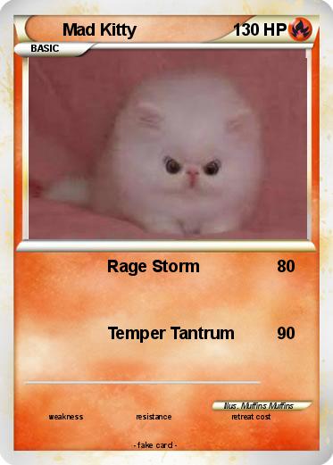 Pokemon Mad Kitty