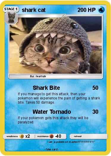 Pokemon shark cat