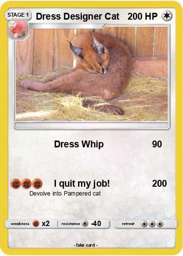 Pokemon Dress Designer Cat