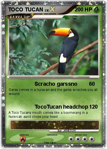 Pokemon TOCO TUCAN