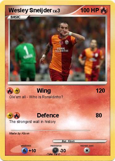 Pokemon Wesley Sneijder