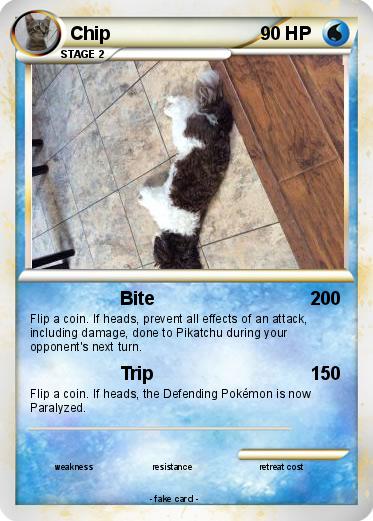 Pokemon Chip