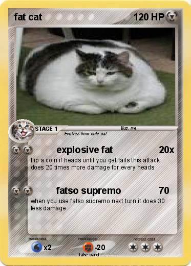 Pokemon fat cat