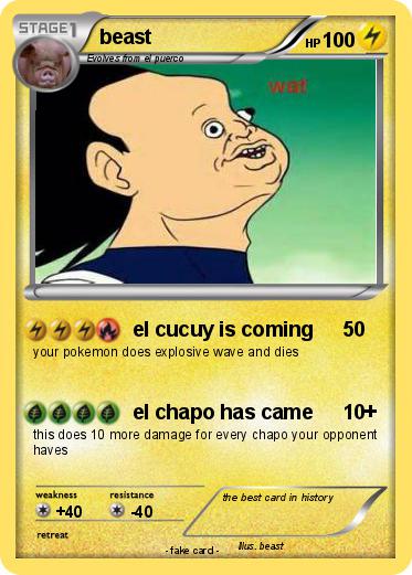 Pokemon beast