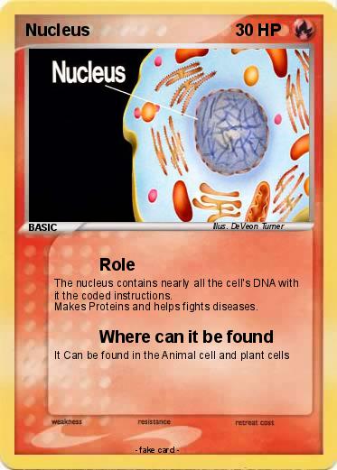 Pokemon Nucleus
