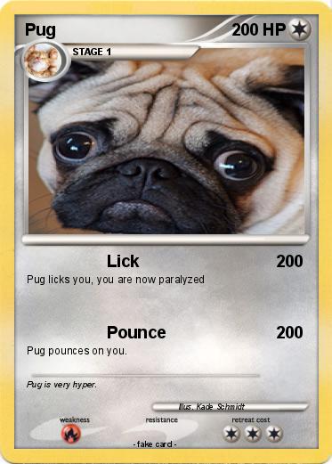 Pokemon Pug