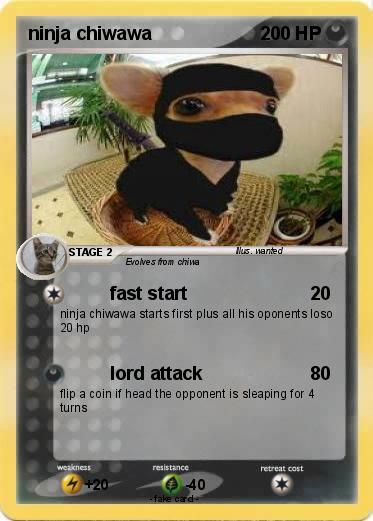 Pokemon ninja chiwawa