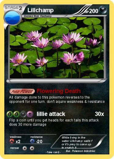 Pokemon Lillchamp