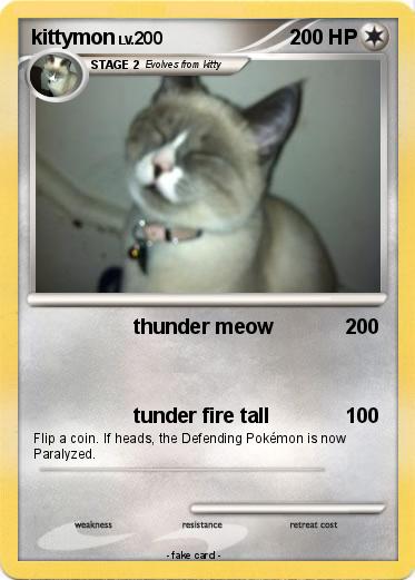 Pokemon kittymon