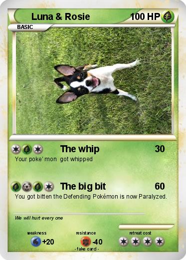 Pokemon Luna & Rosie