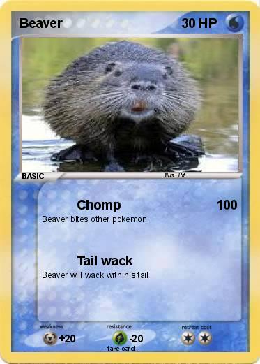 Pokemon Beaver