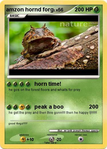 Pokemon amzon hornd forg