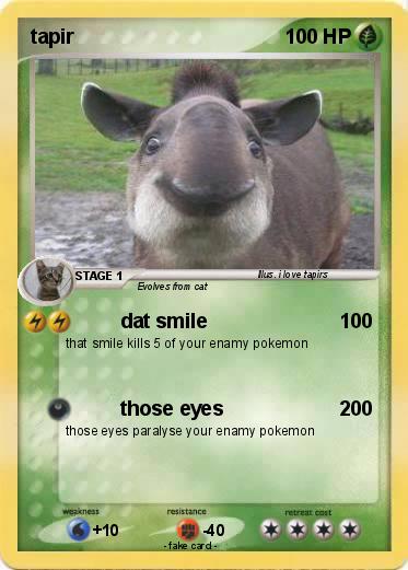 Pokemon tapir
