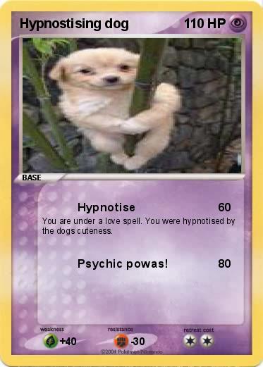 Pokemon Hypnostising dog