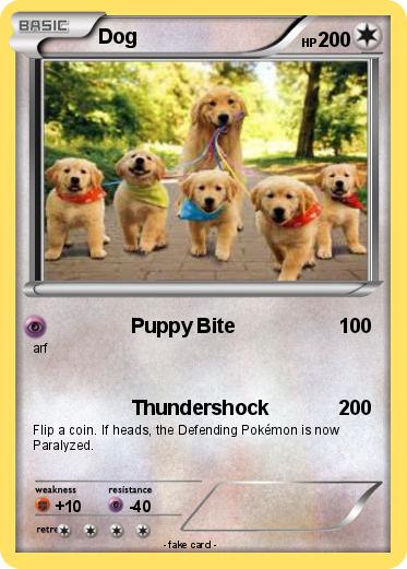 Pokemon Dog