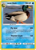 never Duck