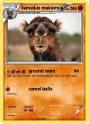 kamelius maksim