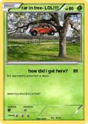car in tree-
