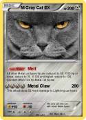 M Gray Cat EX