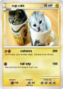 cup cats