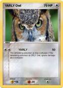YARLY Owl