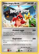 Team Angry Bird