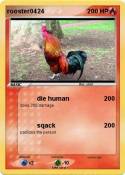 rooster0424