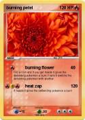burning petel