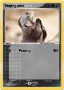 Praying otter