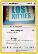 Lost kittens