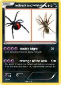 redback and