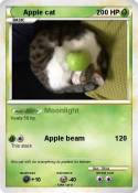 Apple cat