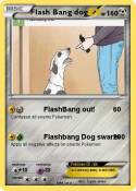 Flash Bang dog