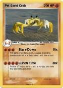 Pet Sand Crab