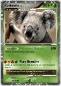 Koalatalla